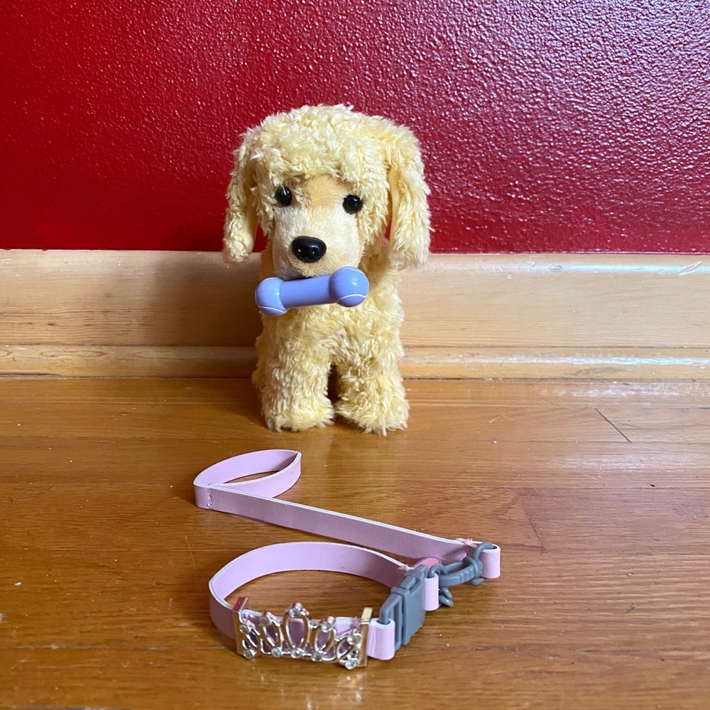apricot poodle puppy, bone, and princess leash